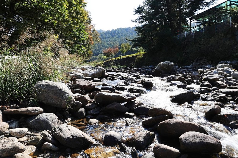 알프스펜션 캠핑&글램핑 시설 사진 9