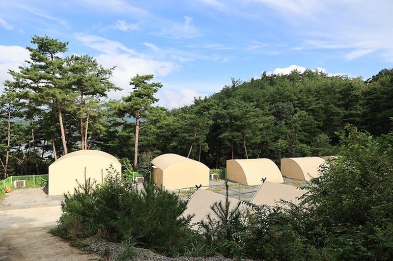 현대야영장 대표 사진