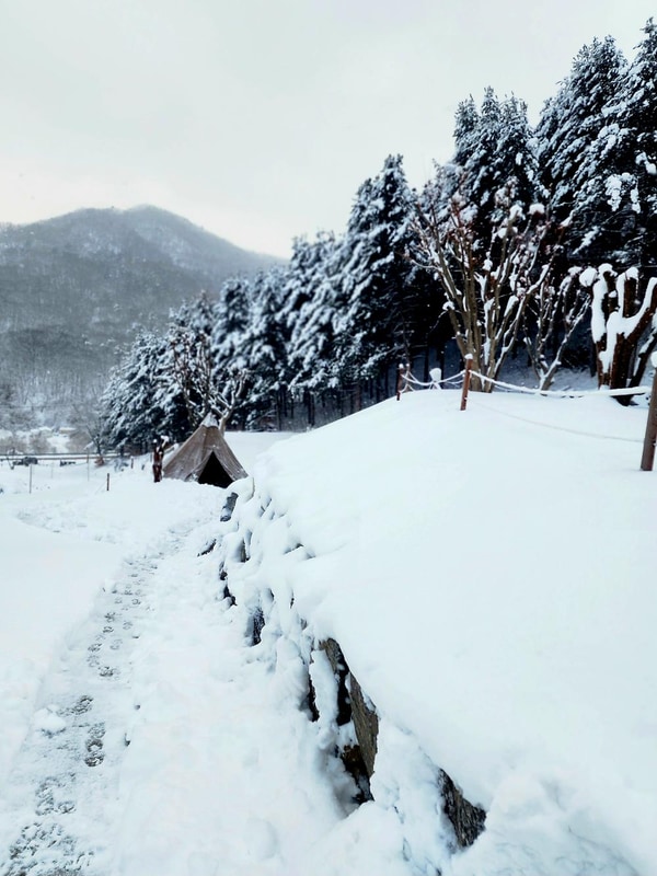 구릉지캠핑장 시설 사진 5