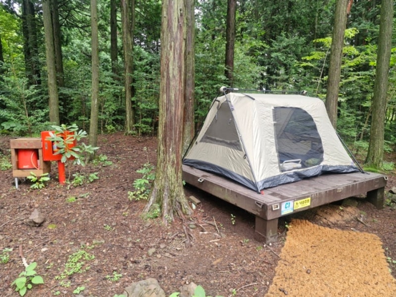 서귀포 자연휴양림 야영장