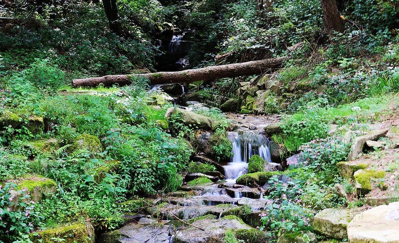 노섬브리아 야영장 시설 사진 5