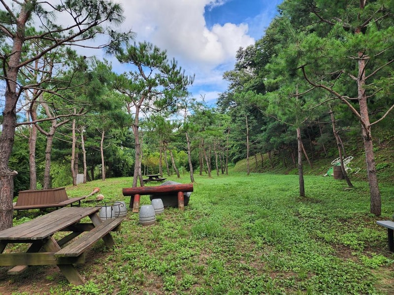 봄이오는 캠프 시설 사진 6