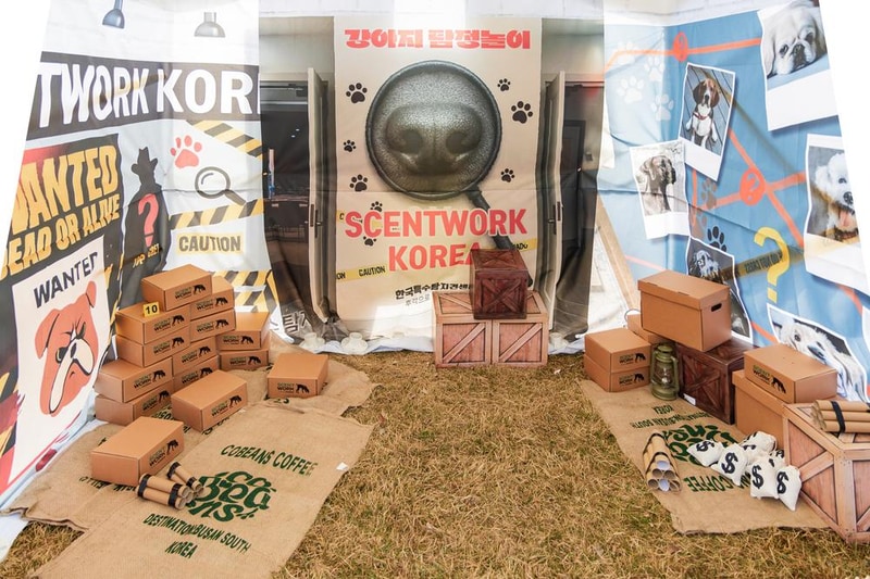 강천섬캠핑장 시설 사진 35