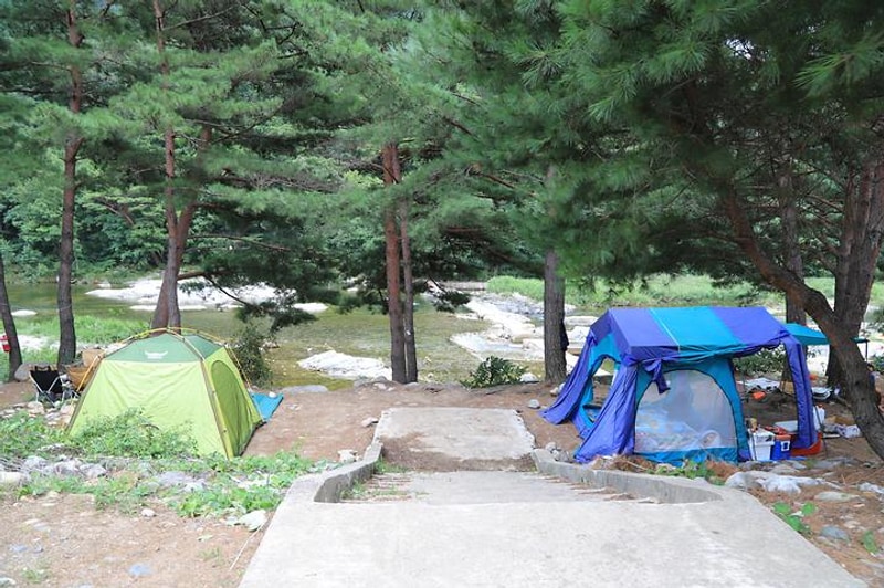 솔밭야영장 대표 사진