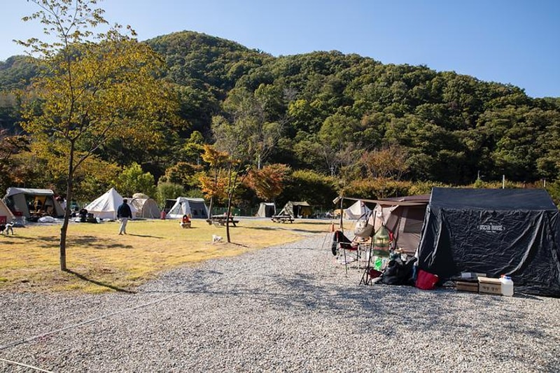 은하수 캠핑장 대표 사진