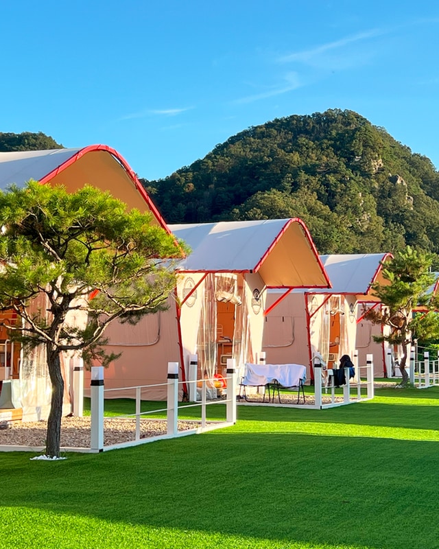 더 글램 대표 사진