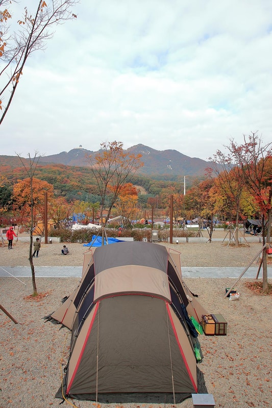 초막골생태공원 느티나무야영장 시설 사진 8