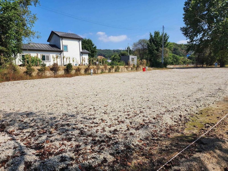 팜파스농원 시설 사진 3