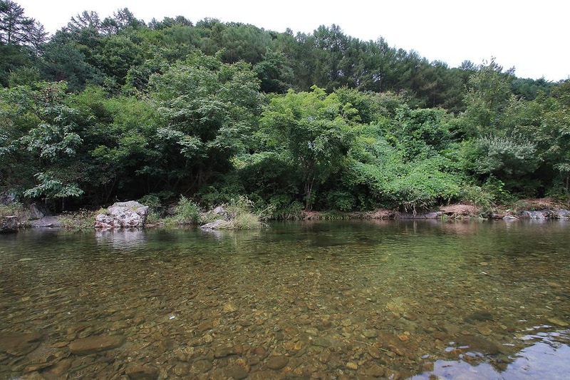 핏들캠핑장 시설 사진 6