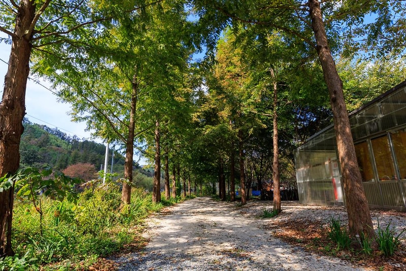 금산 자연 오토캠핑장 시설 사진 5