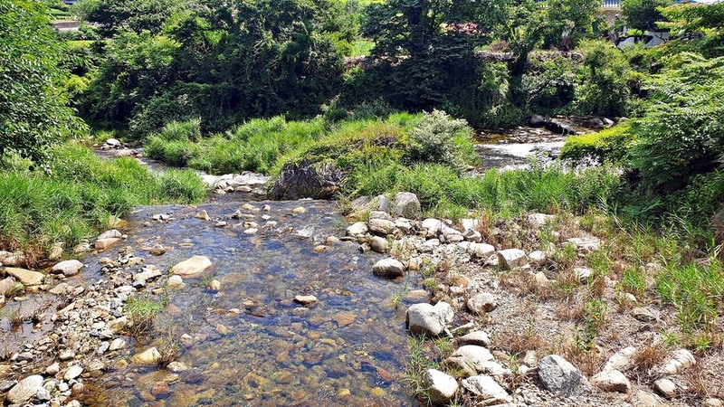 단양 남천 야영장 시설 사진 22