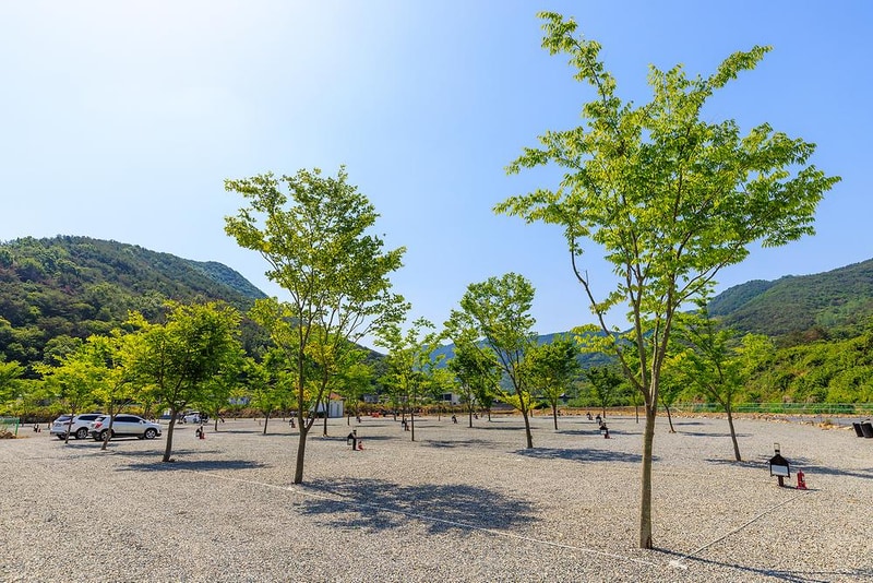 엠와이힐링캠핑장 시설 사진 5