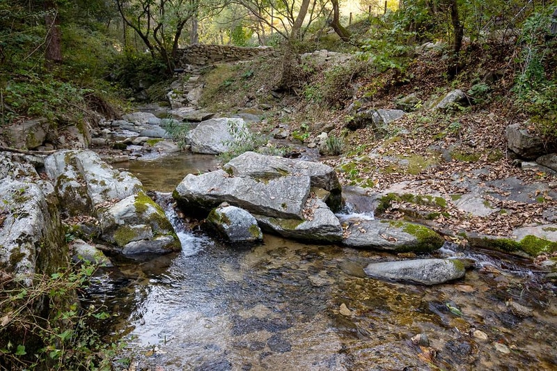 글렌 252 시설 사진 23