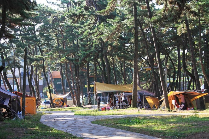 대천해수욕장 야영장 시설 사진 17