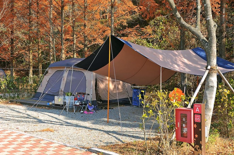 주암 오토캠핑장 시설 사진 17