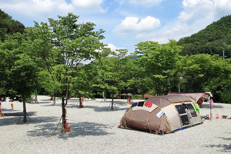 연풍연가캠핑장 대표 사진