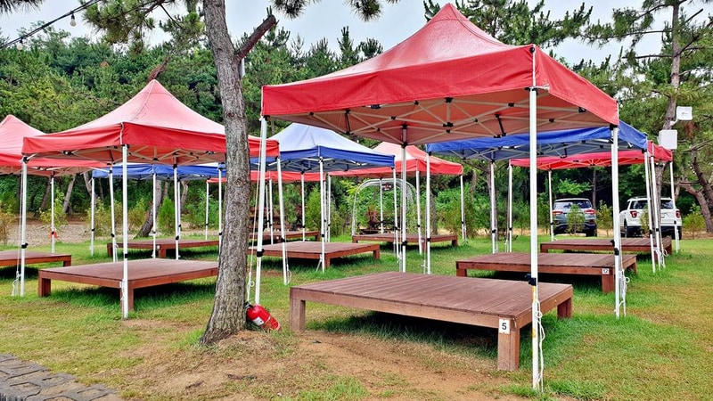 판타스틱 캠프닉 시설 사진 38