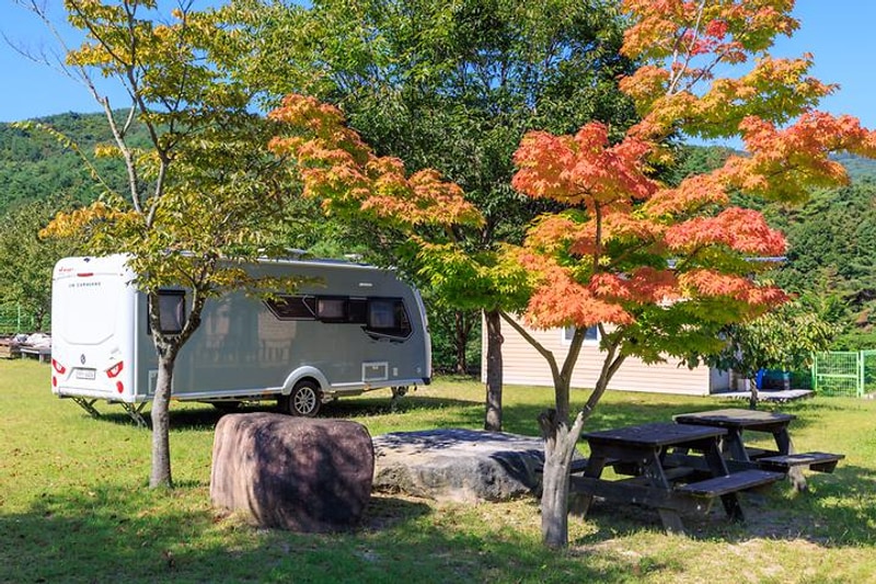토함산 마이웨이 야영장 대표 사진