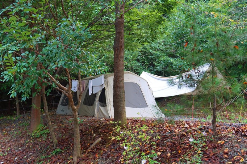 가야산백운오토캠핑장 시설 사진 13