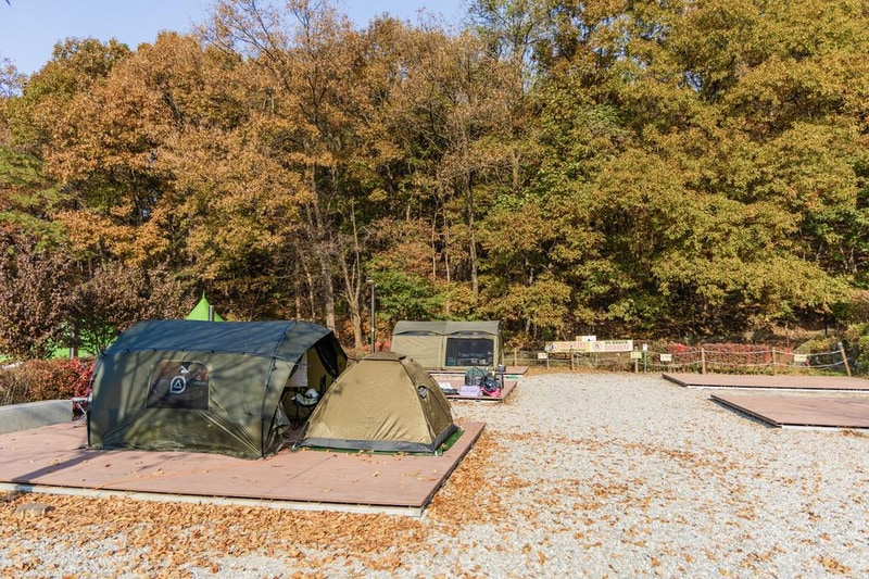 초막골생태공원 느티나무야영장 시설 사진 57