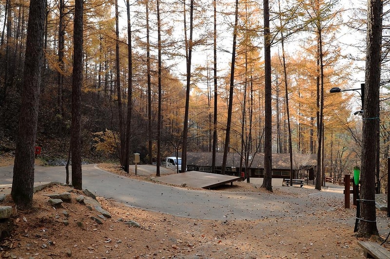 국립용화산자연휴양림 시설 사진 8