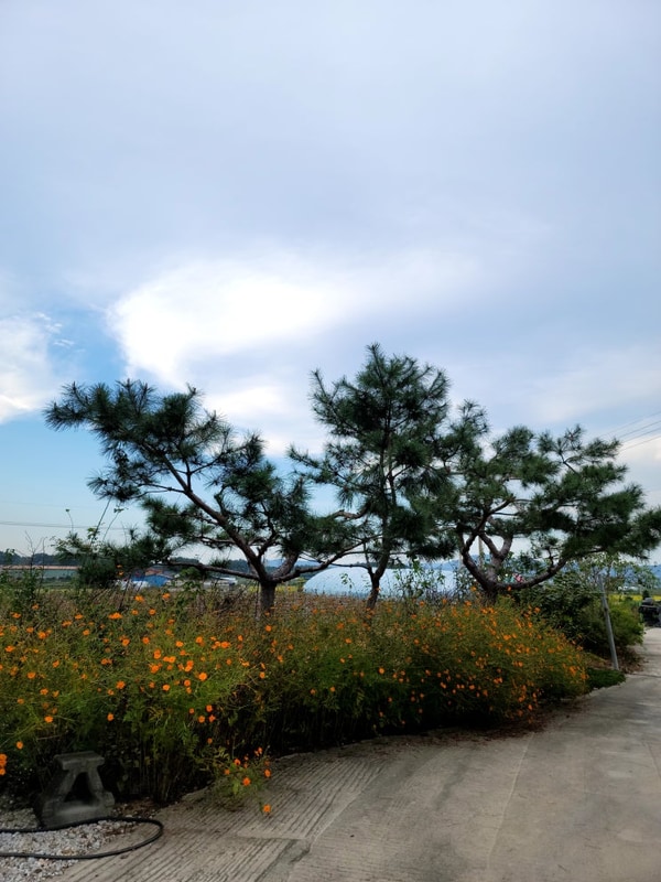 율곡관광농원 캠핑장 대표 사진