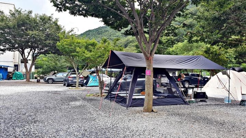 솔밭캠프 대표 사진