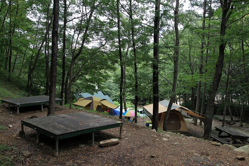 와룡자연휴양림 자동차야영장 시설 사진 13