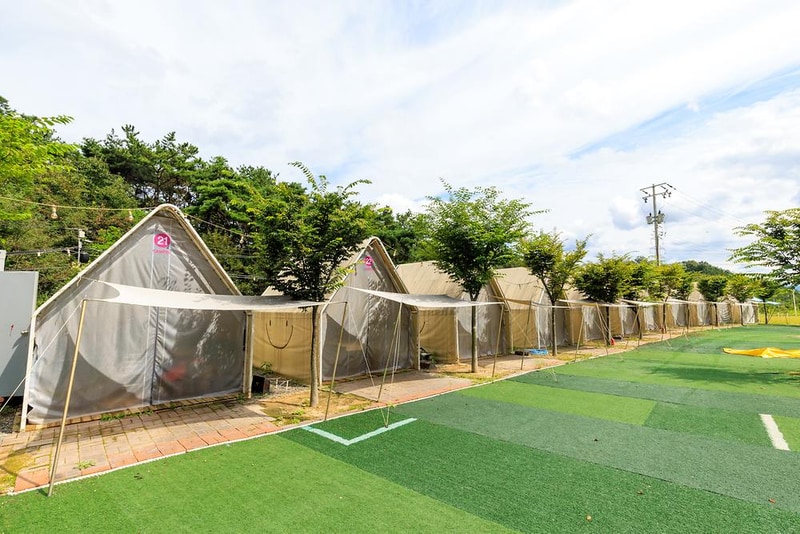 Little 80 시설 사진 12