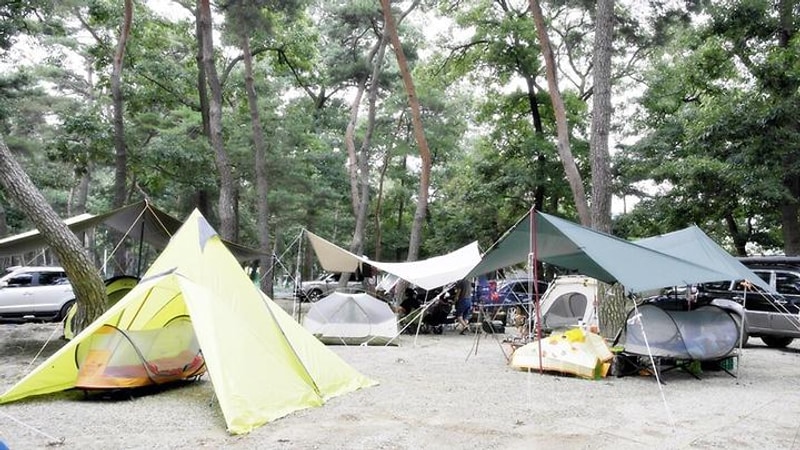 후평숲캠핑장 대표 사진
