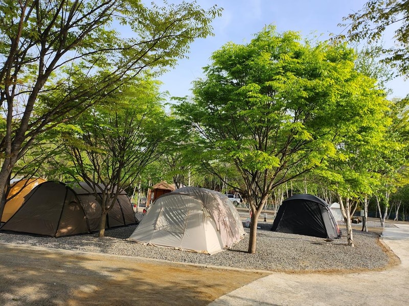 나무와 쉬리 시설 사진 2