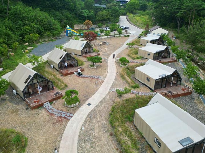 트리풀(treefull) 대표 사진