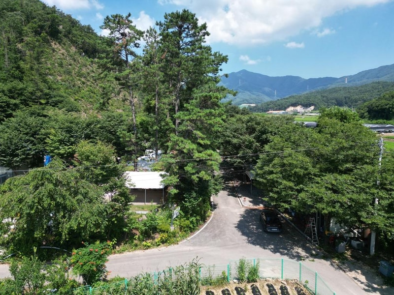 솔밭체육공원오토캠핑장 시설 사진 14