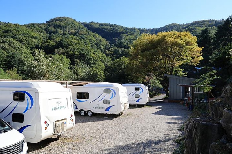 포레스트벨리캠프