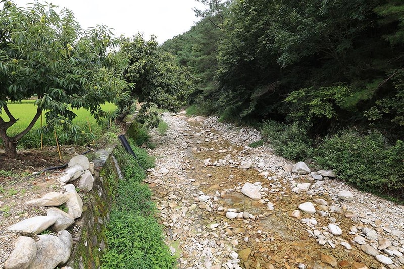 도기도기캠프 시설 사진 10