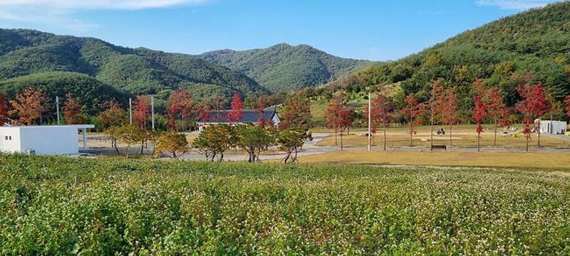 감산 대표 사진