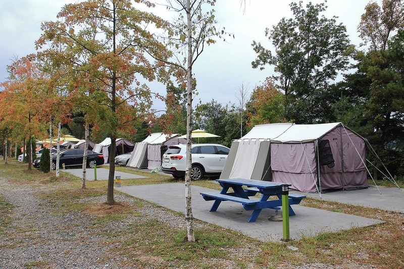 스칸디캠프팜 시설 사진 8