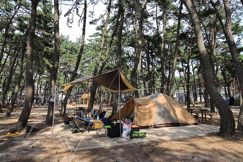 고사포야영장 시설 사진 1