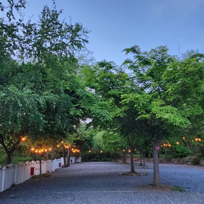 요기는캠핑장 시설 사진 39