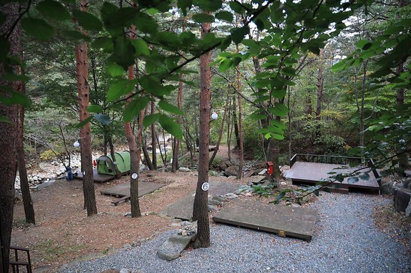 조봉야영장 대표 사진