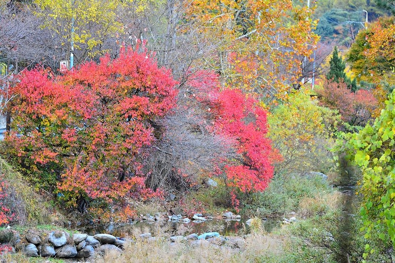 은석캠핑장 시설 사진 2