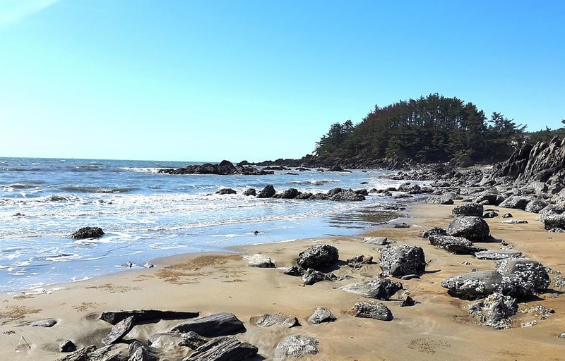 에스이(SE)클럽관광농원야영장 시설 사진 14