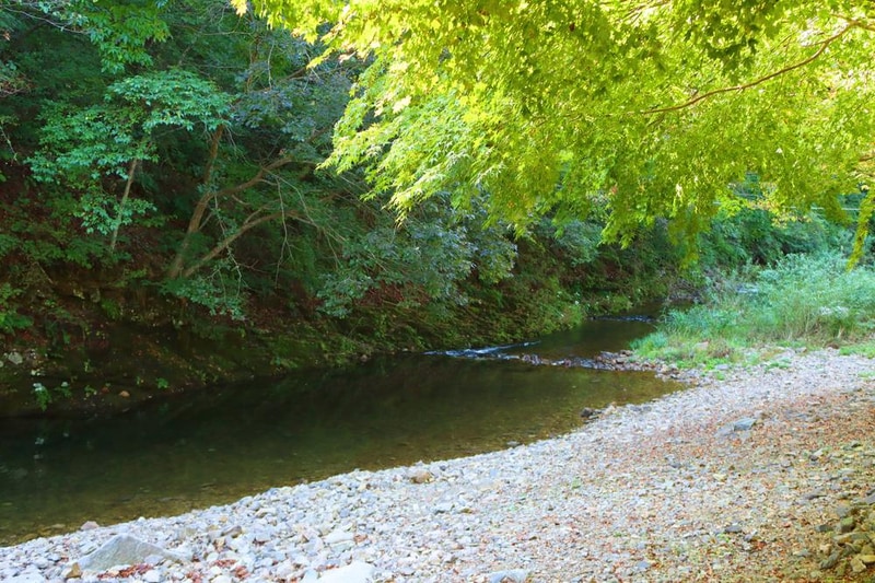 거목 글램핑 시설 사진 8