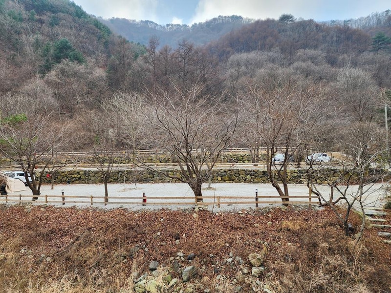 담터 민수 캠핑장 시설 사진 15