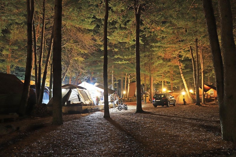 아트인아일랜드 시설 사진 18