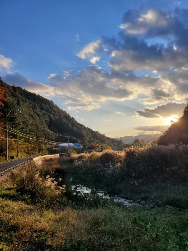 명마동 캠핑장 대표 사진