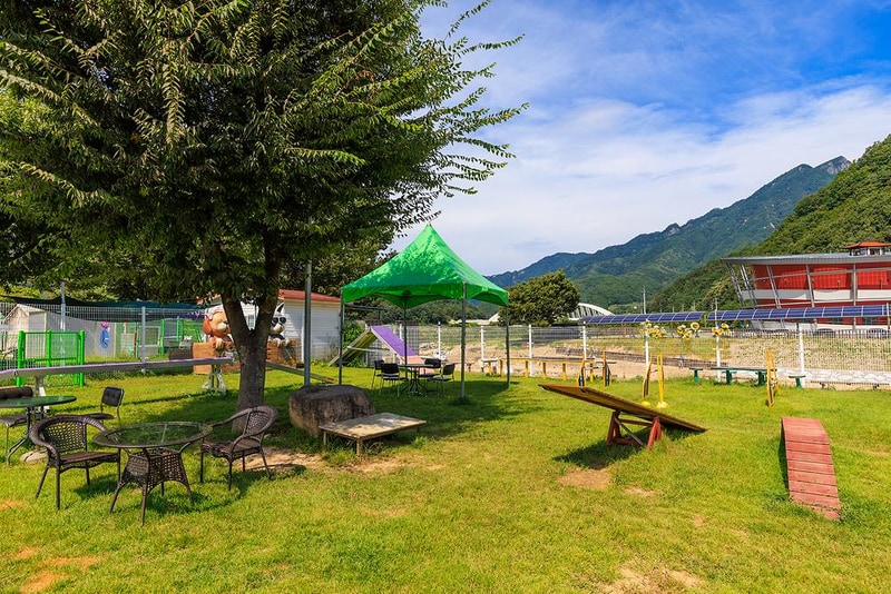 젠틀펫 파라다이스 시설 사진 8