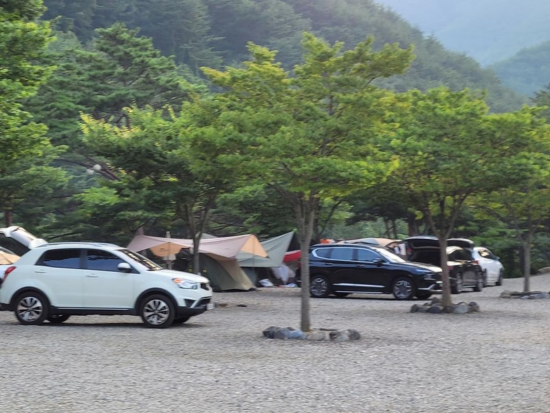 왕피천하늘담야영장 시설 사진 7