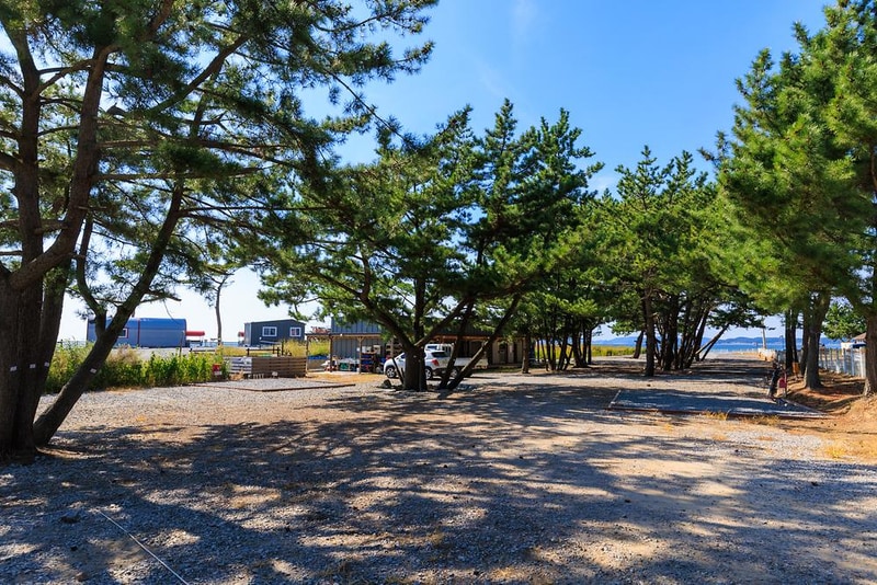 청포대 일등캠핑장 시설 사진 6