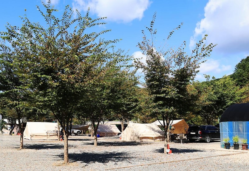 보랏빛오토캠핑장 시설 사진 1